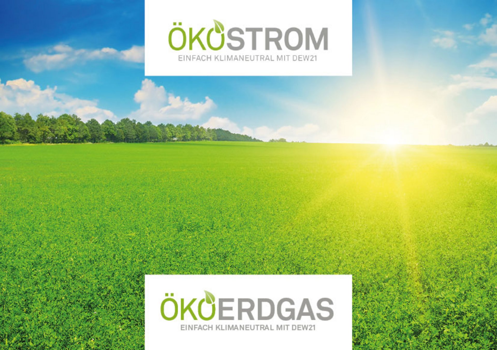 grobe_zu-taten_flyer_oeko