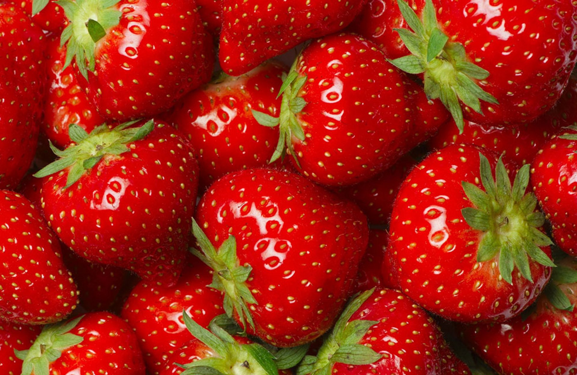 regionalitaet-erdbeeren