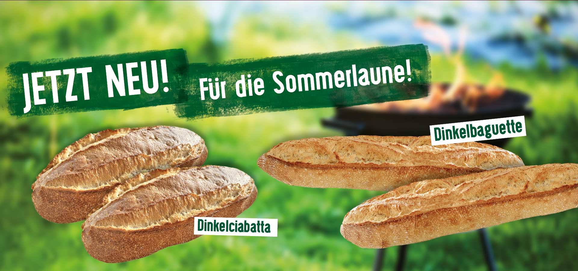 Dinkelbaguette_ciabatta_2023