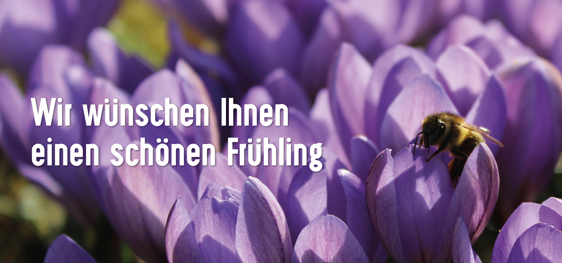 Fruehlingsbeginn_2026