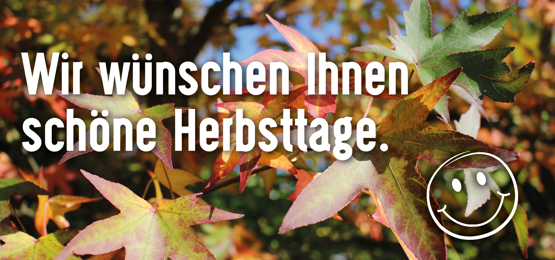 herbsttage_Wunsch_2021